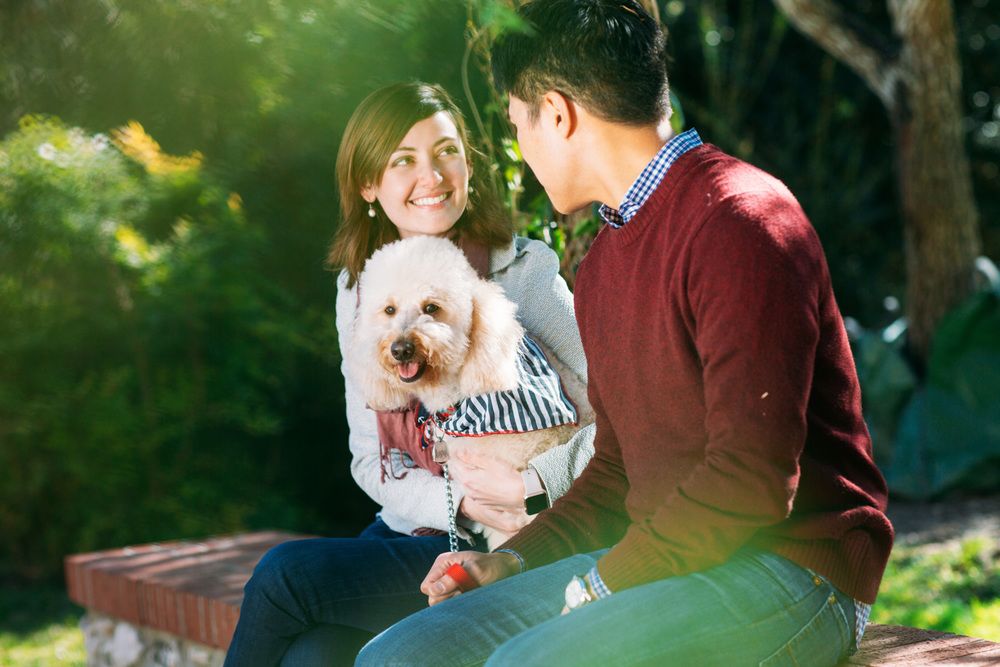 Surprise proposal in the park as he kneels with an engagement ring