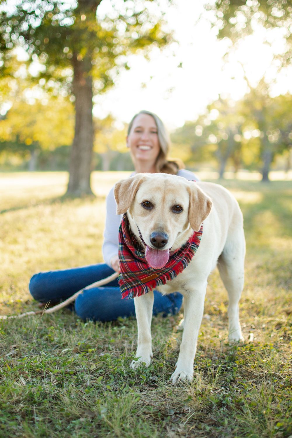 A cheerful white dog with red plaid bandana poses on grass during sunset.