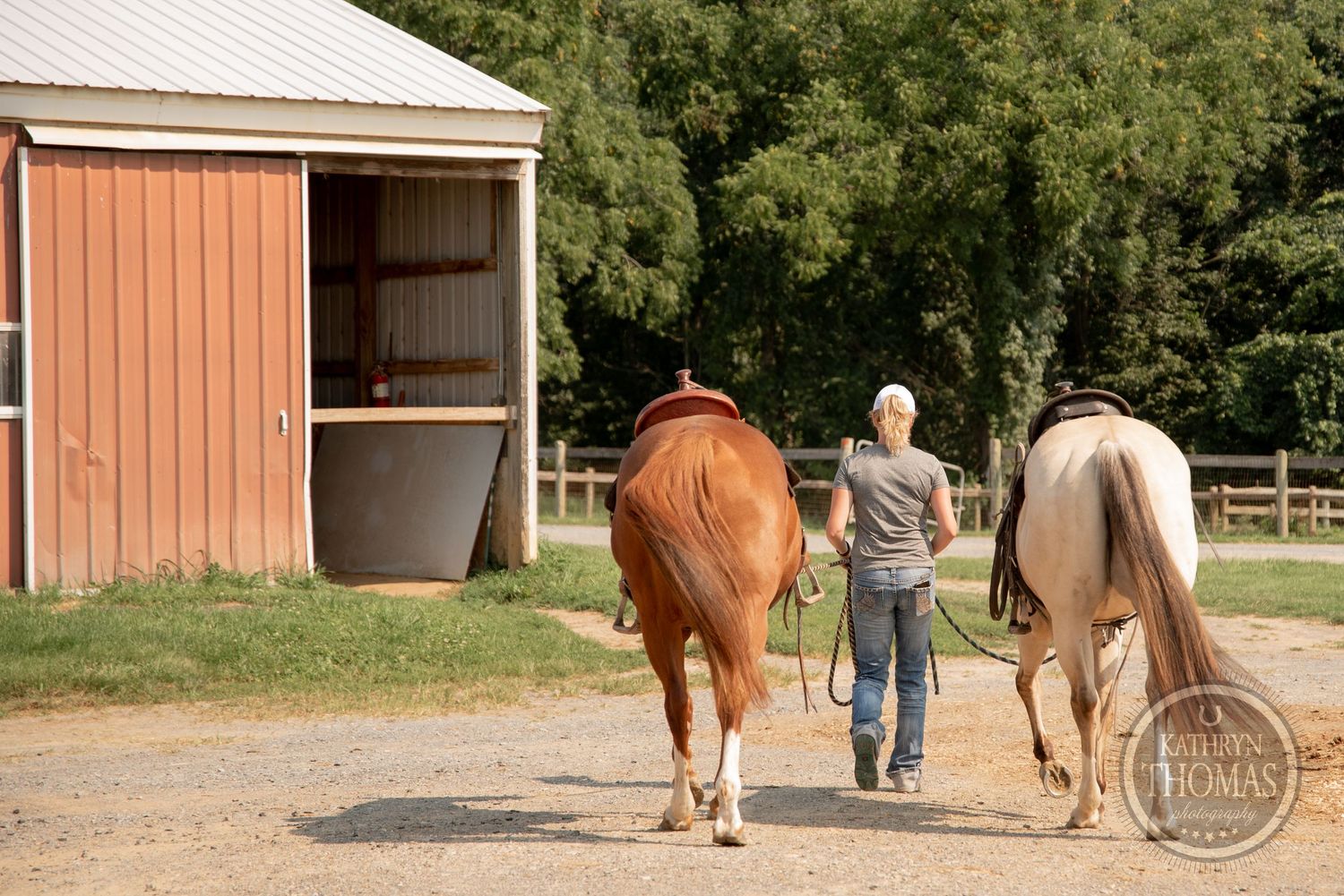 Two horses being led back to a rustic barn with wood siding.