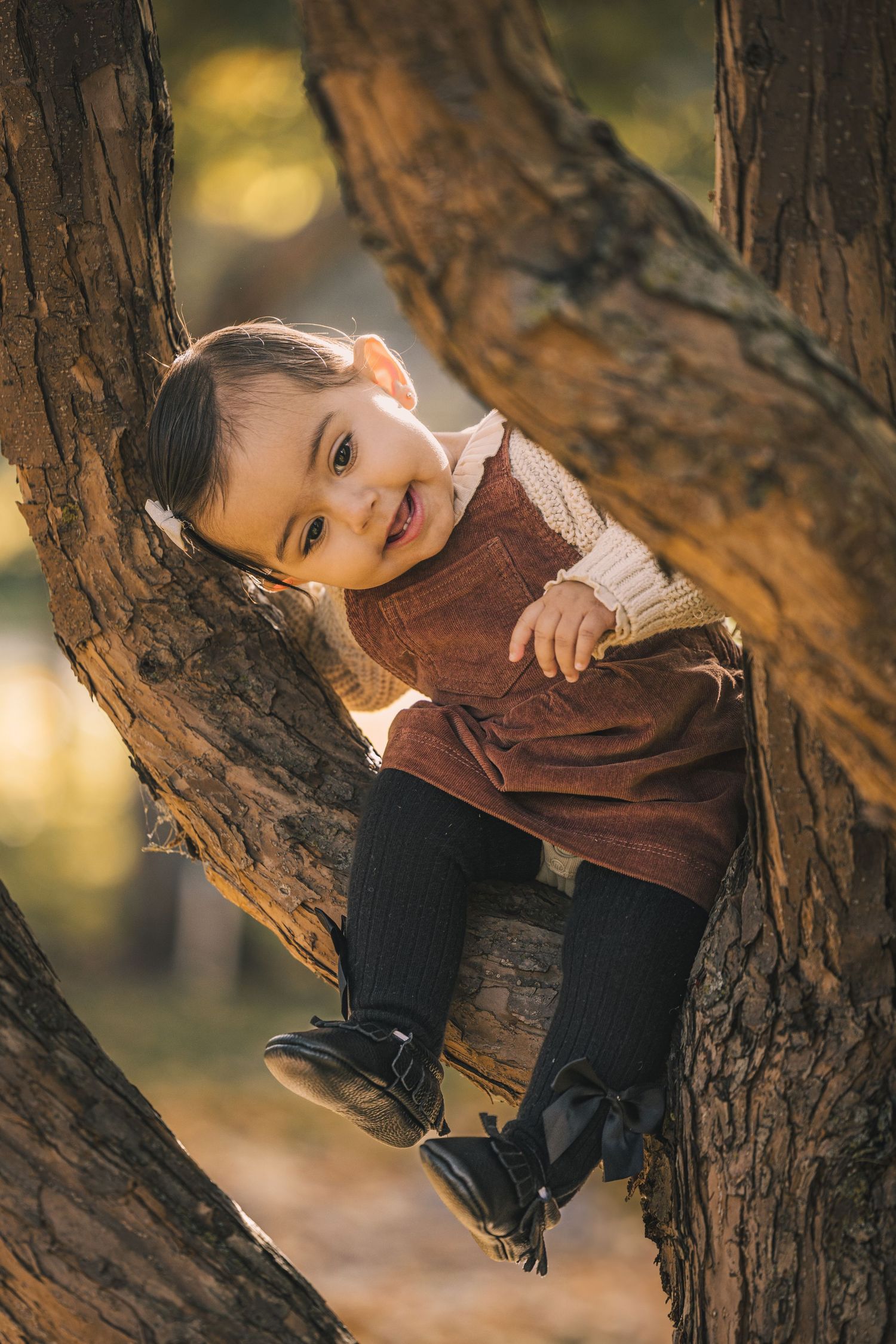 Small child sitting playfully in a tree fork wearing autumn clothing.