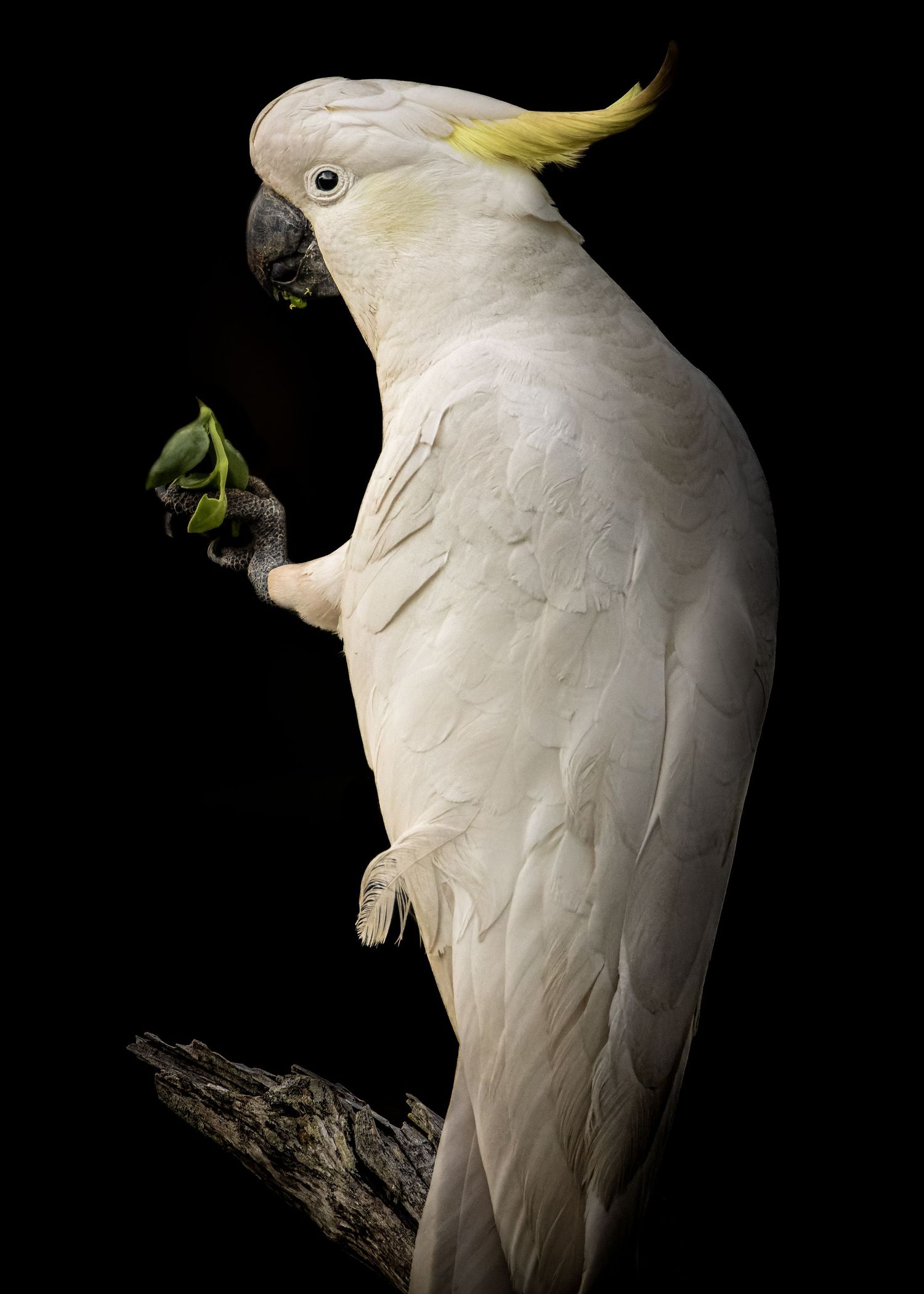 John Peters Photography
