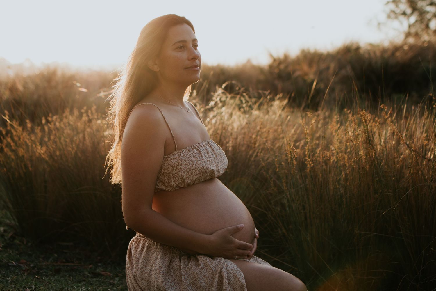 A glowing sunset maternity photo in a field of tall grass.