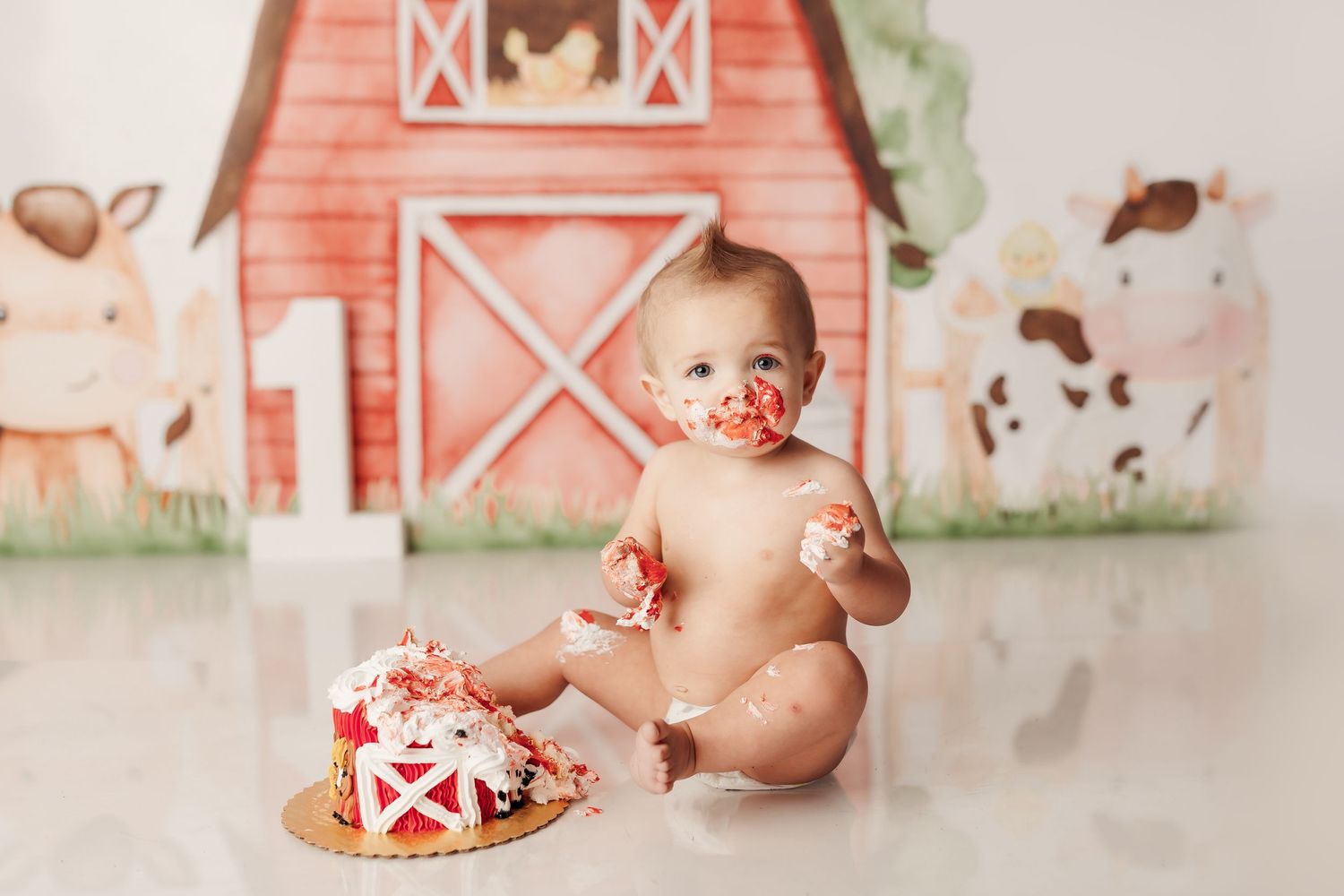 Tulsa cake smash photographer barnyard bash tulsa baby photographer