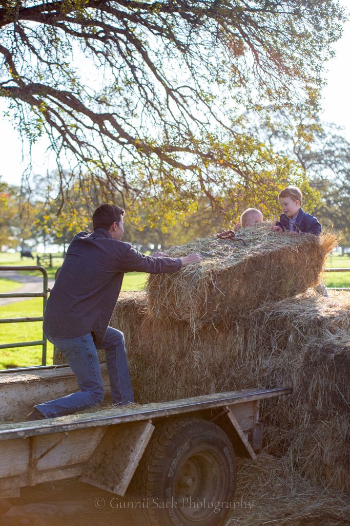 gunnii sack photography, family photos, mom of boys, county photos, paloma ca, calaveras county, oak trees, family ranch
