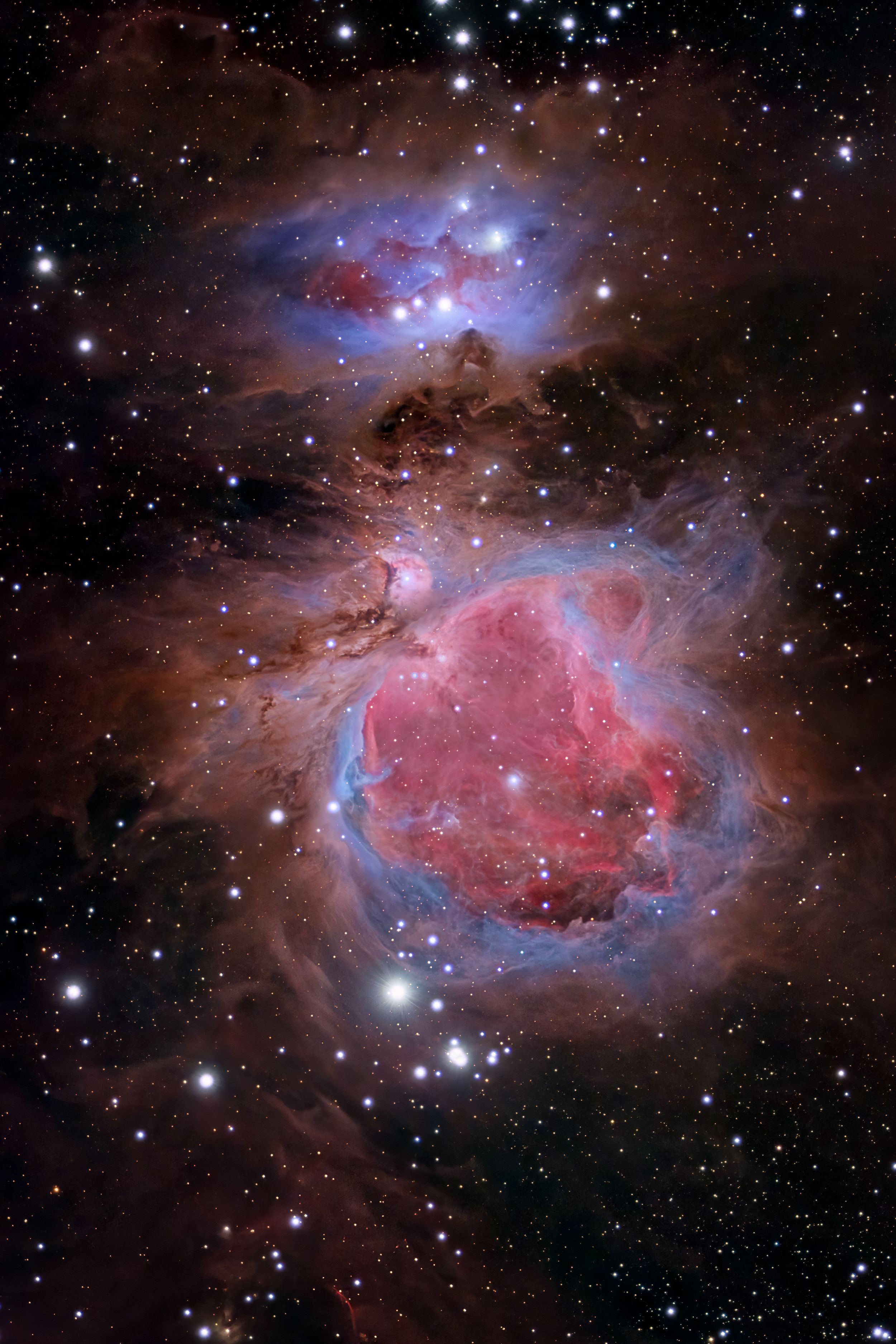 The Orion Nebula displays stunning blues and reds with swirling gas clouds and bright young stars.