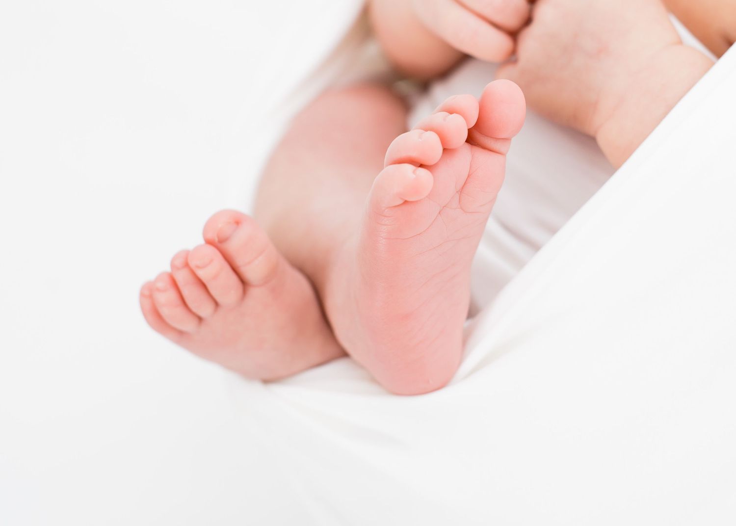 Close-up view of tiny newborn baby feet against white background.