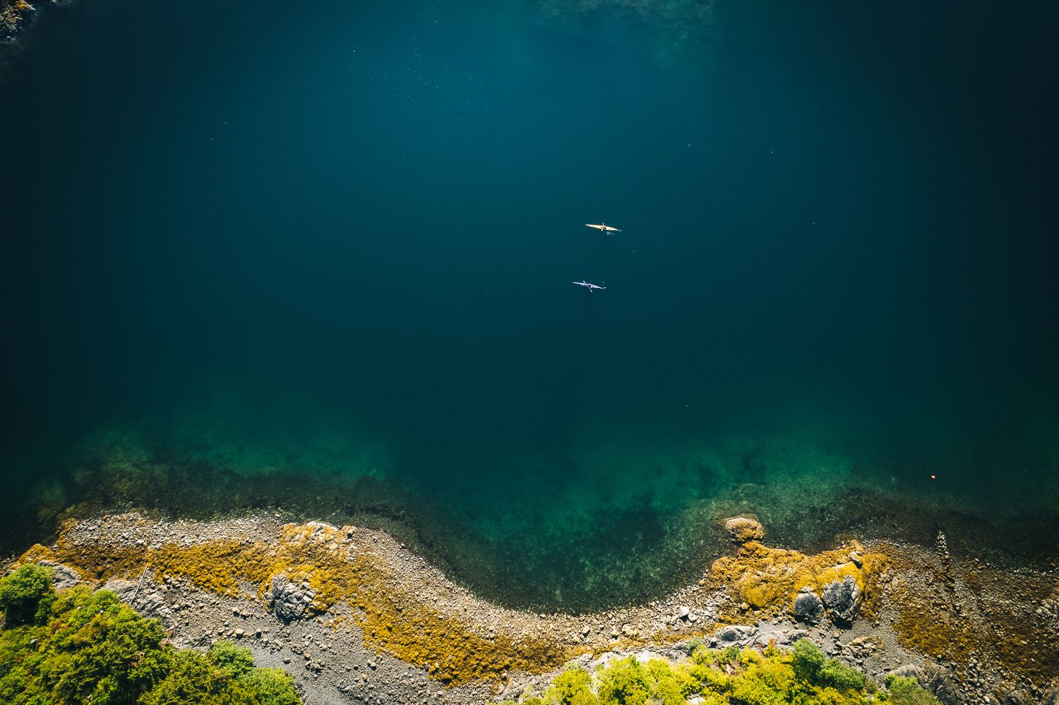 Aerial view of turquoise waters meeting rocky coastline with small fish visible in the deep blue sea.