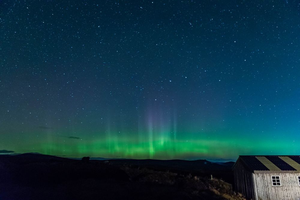 Sturdy Aurora