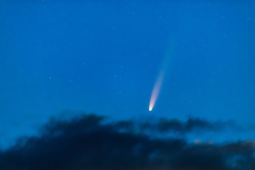 Neowise Comet