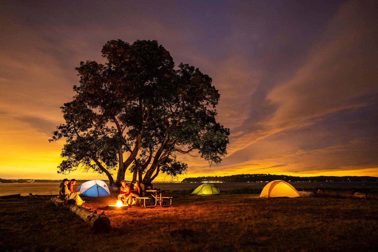 Glowing tents beneath a large tree silhouetted against a dramatic orange sunset sky.