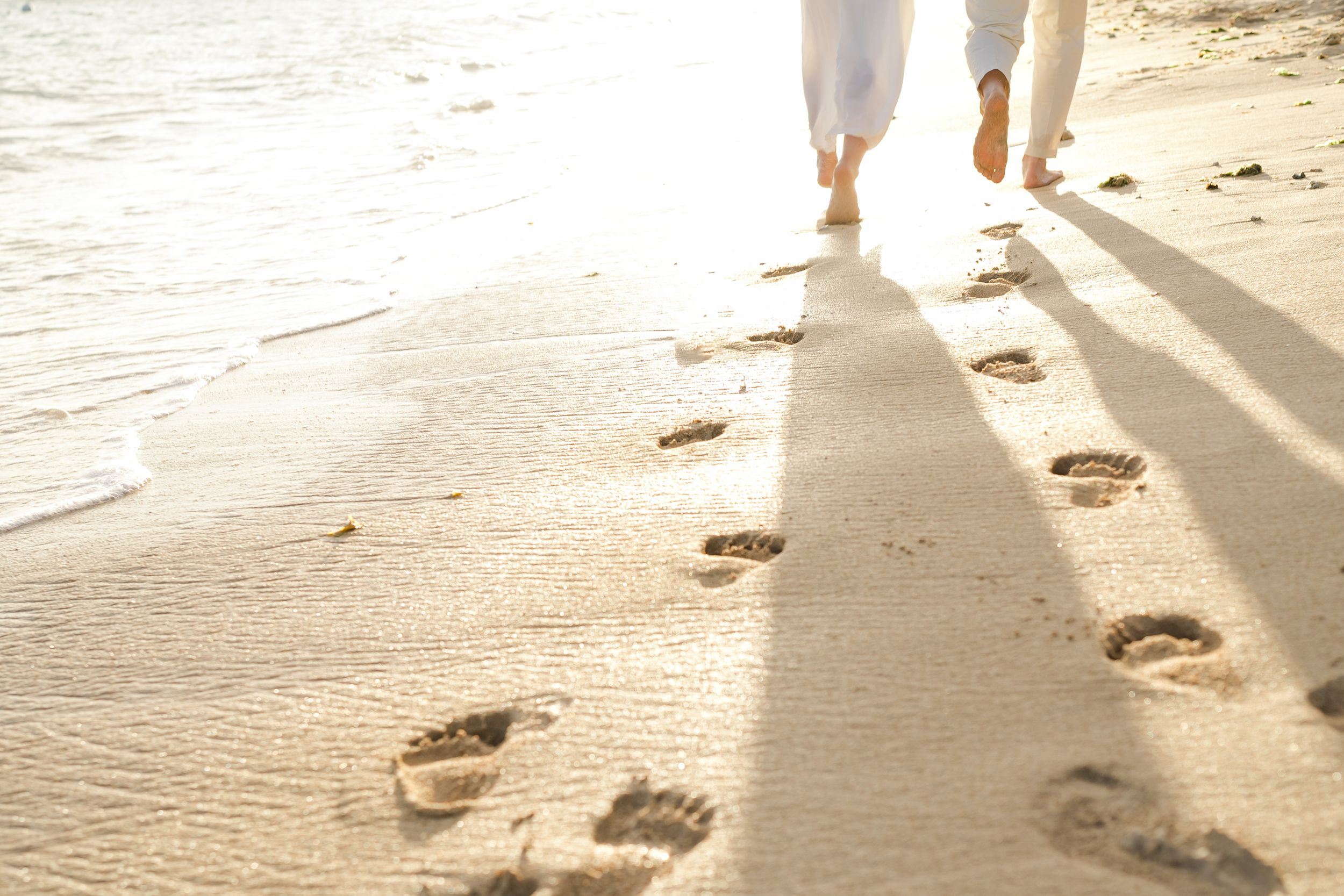 Footprints in the sand along the shoreline with walking legs visible.