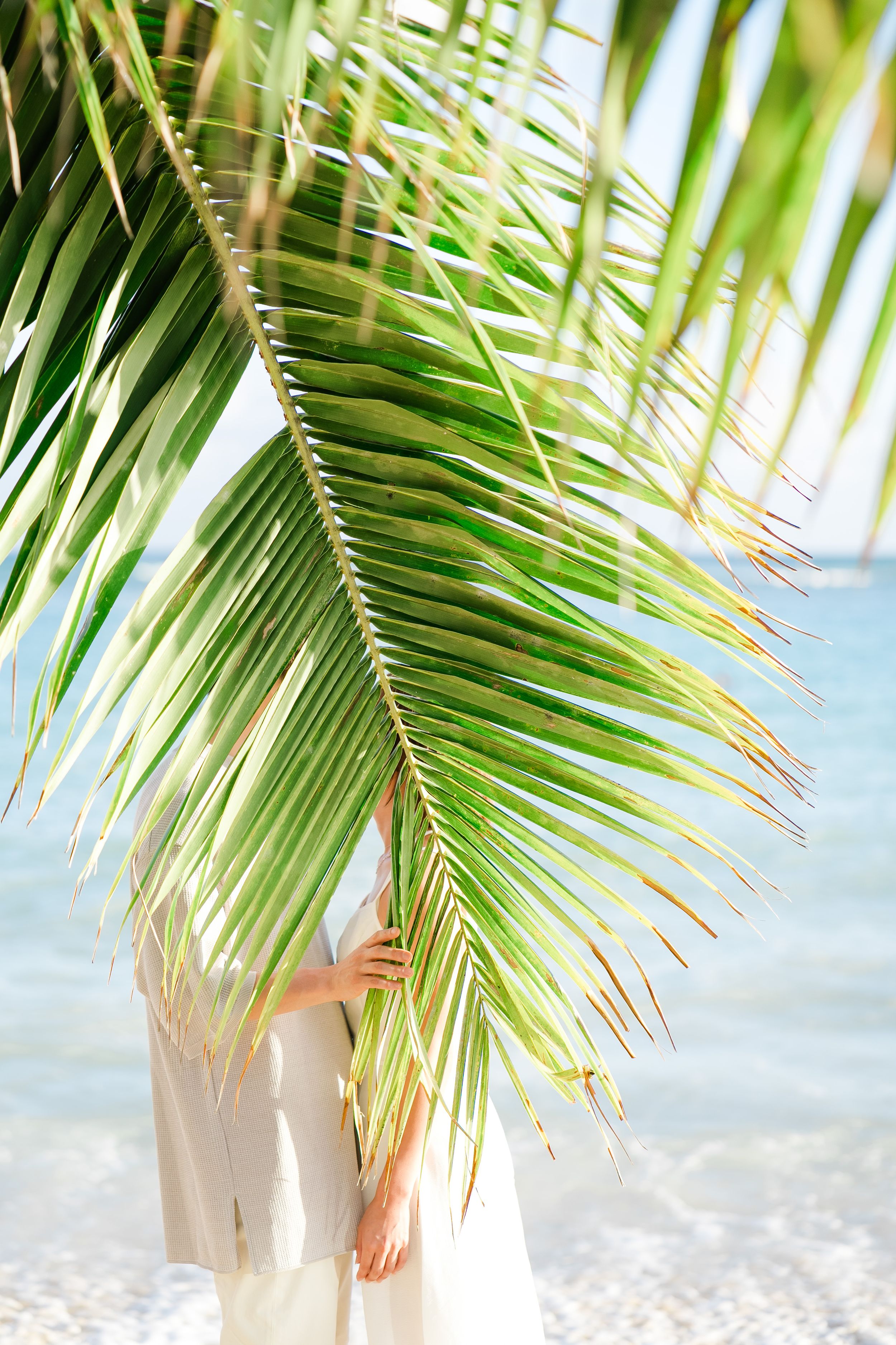 Large tropical palm frond hanging over a beach scene with soft natural lighting and white clothing visible.