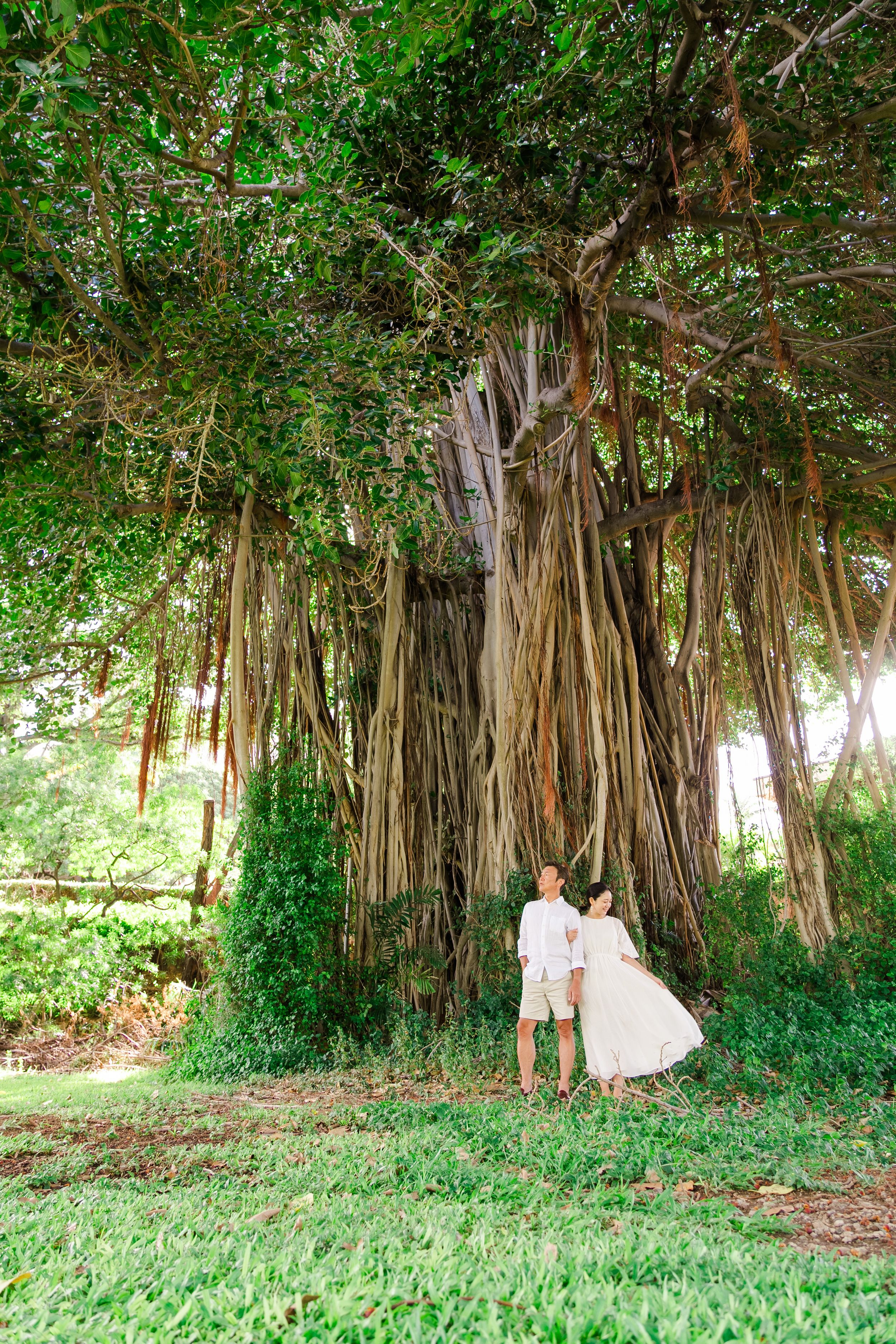 Couple standing beneath massive banyan tree with hanging roots in a lush tropical setting.