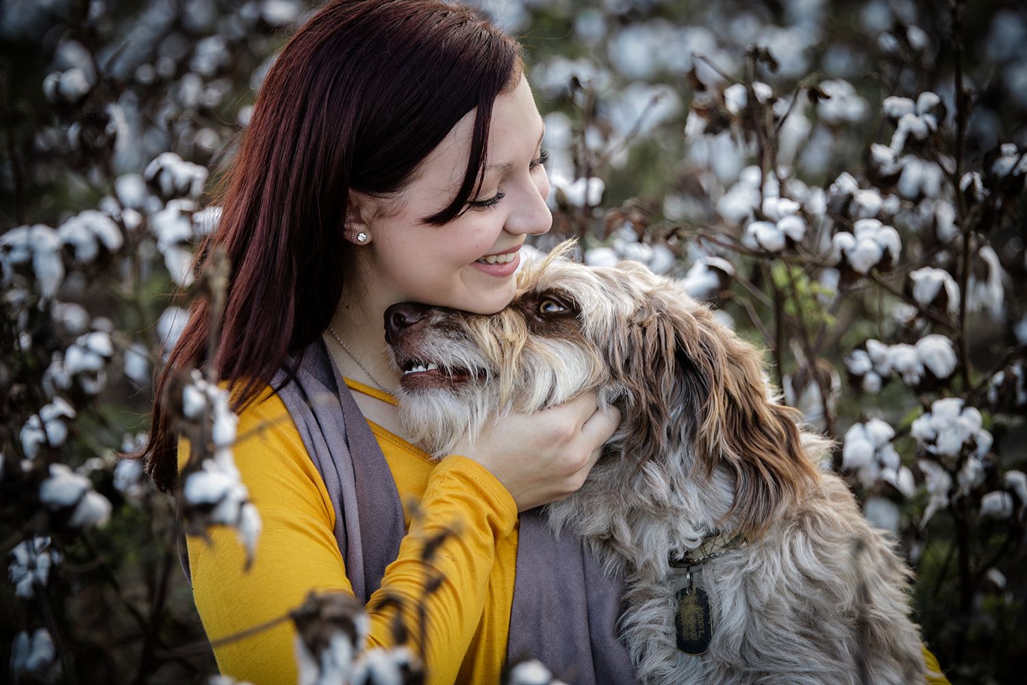 girl and dog sitting in cotton field, pet portraits, pet photography,
