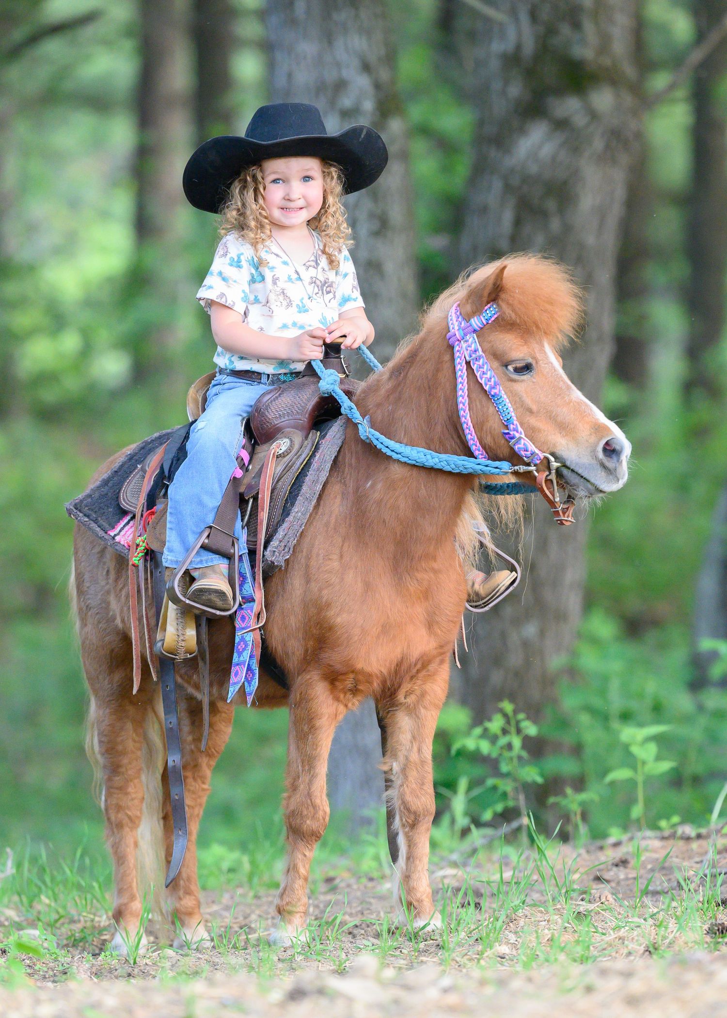 Picture of Little Girl Riding a Pony