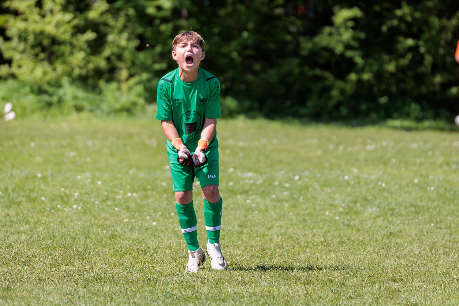 Aalborg City Cup 2024