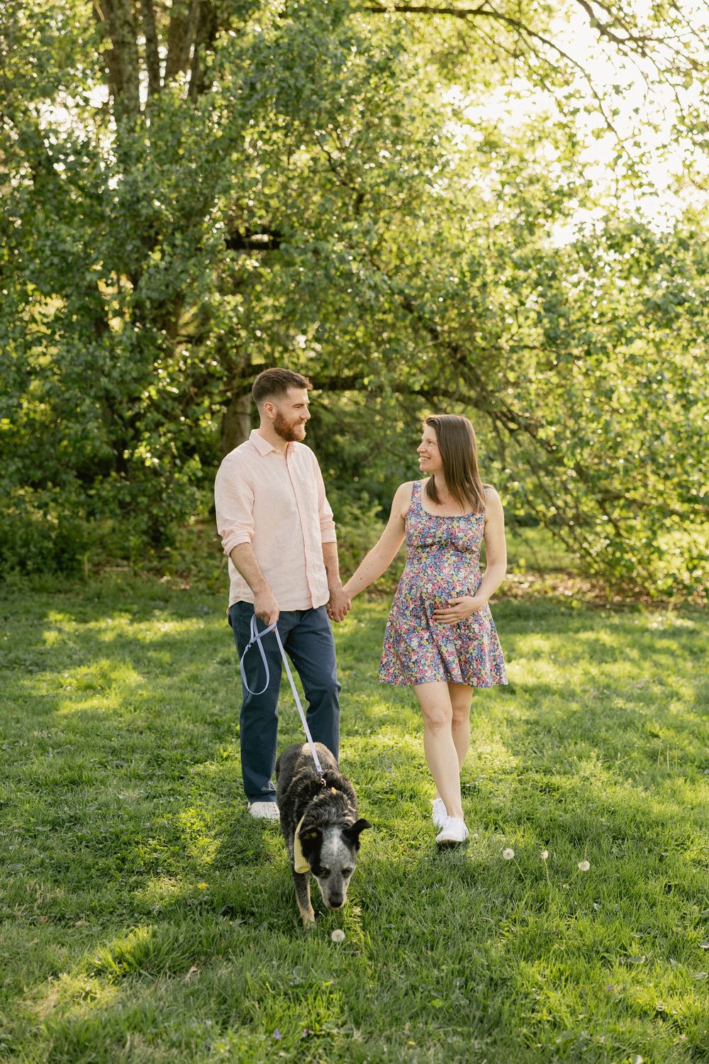 Pregnant couple holding hands and walking their dog on a leash in a sunny green park.