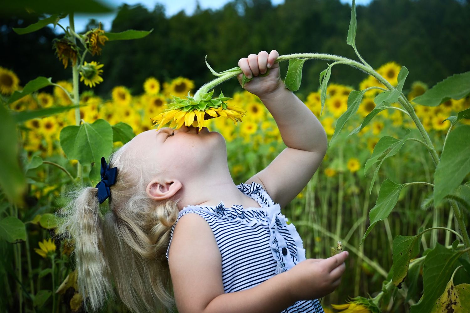 Briana Baker Photography
