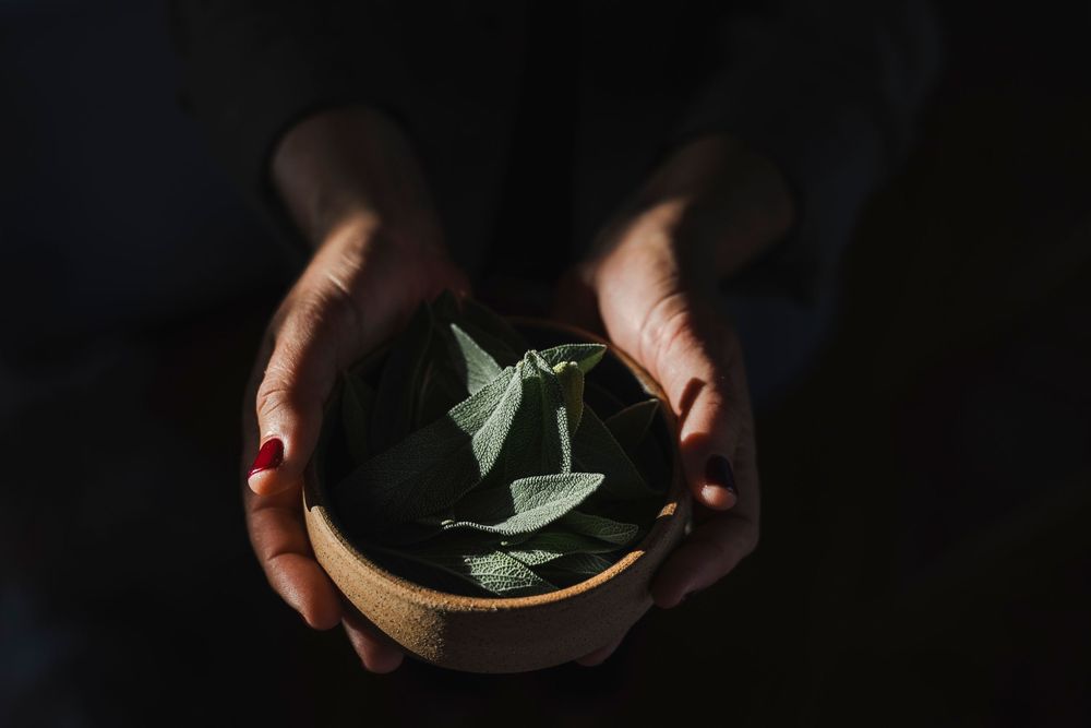 Hands hold green bay leaves against a dark background in a series of close-up shots.