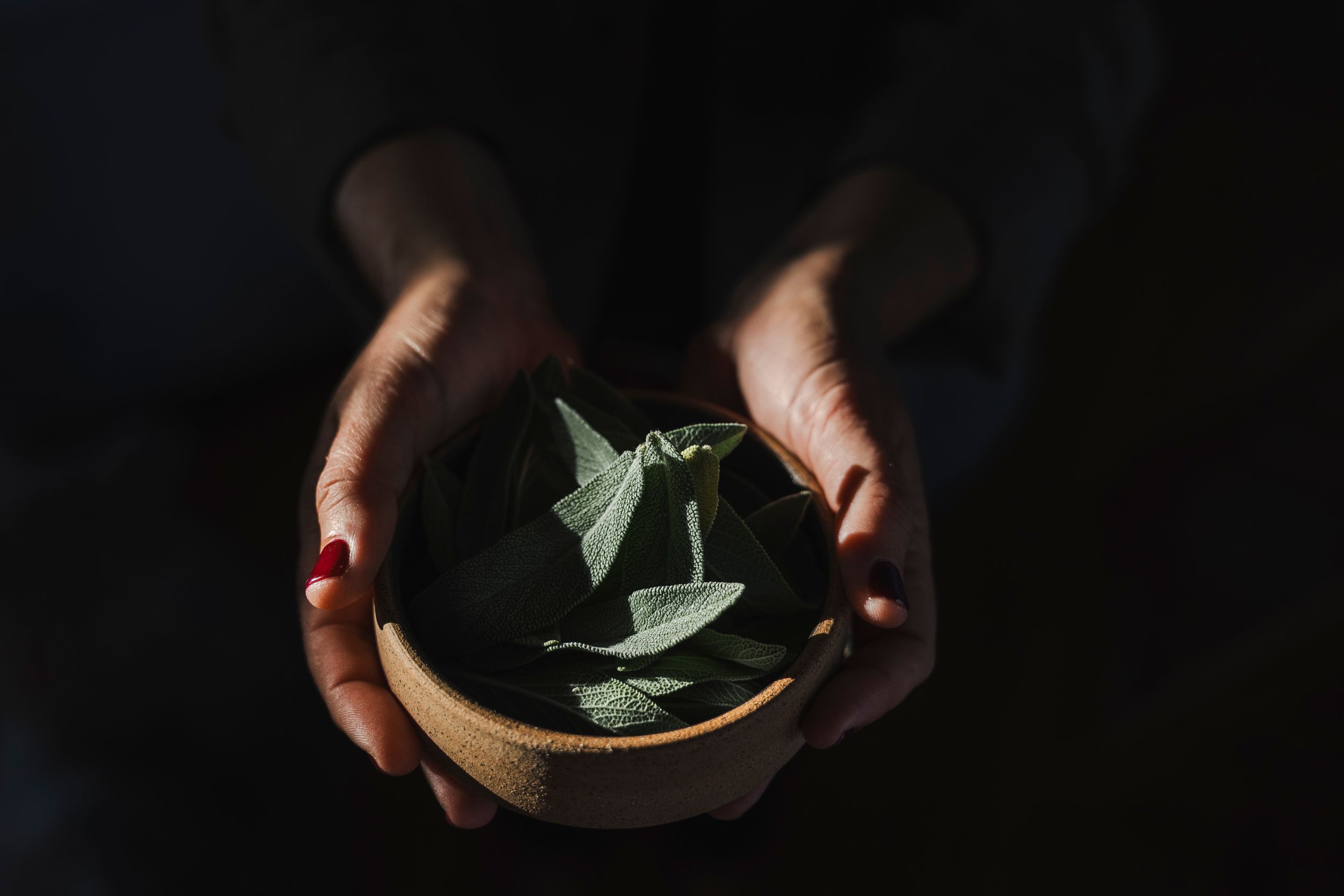 Hands hold green bay leaves against a dark background in a series of close-up shots.