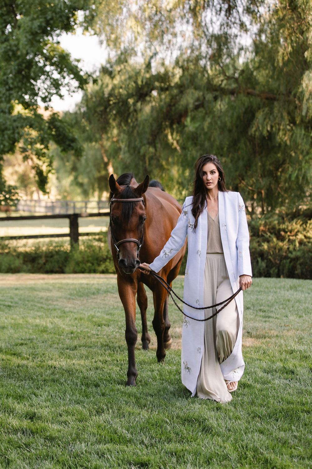 Powerful branding images with horse for female entrepreneur.
