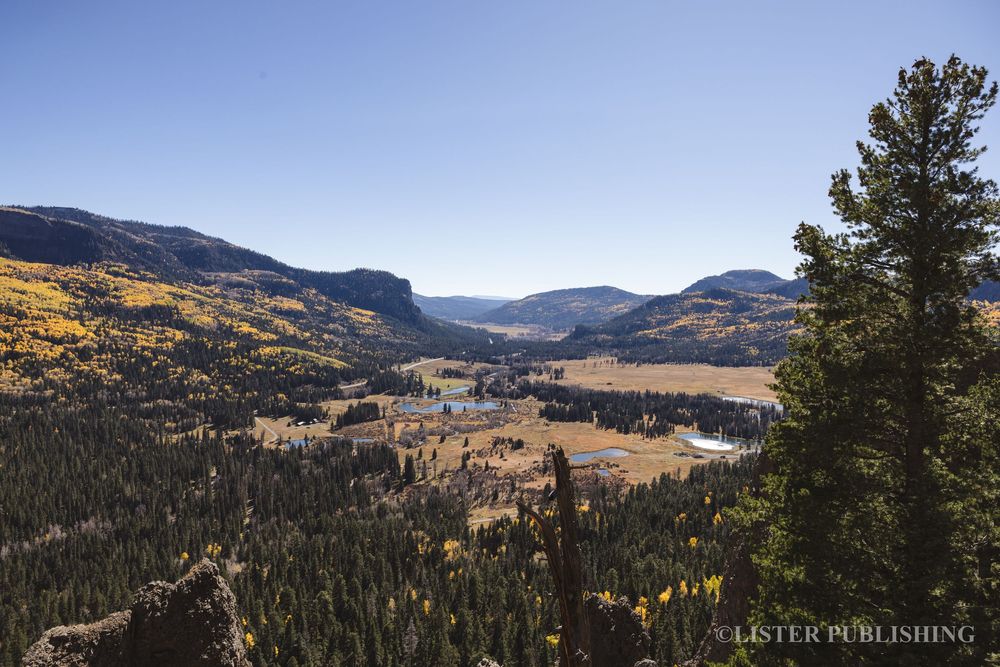 Scenic mountain valley view with dense evergreen forests and autumn colors in Colorado.