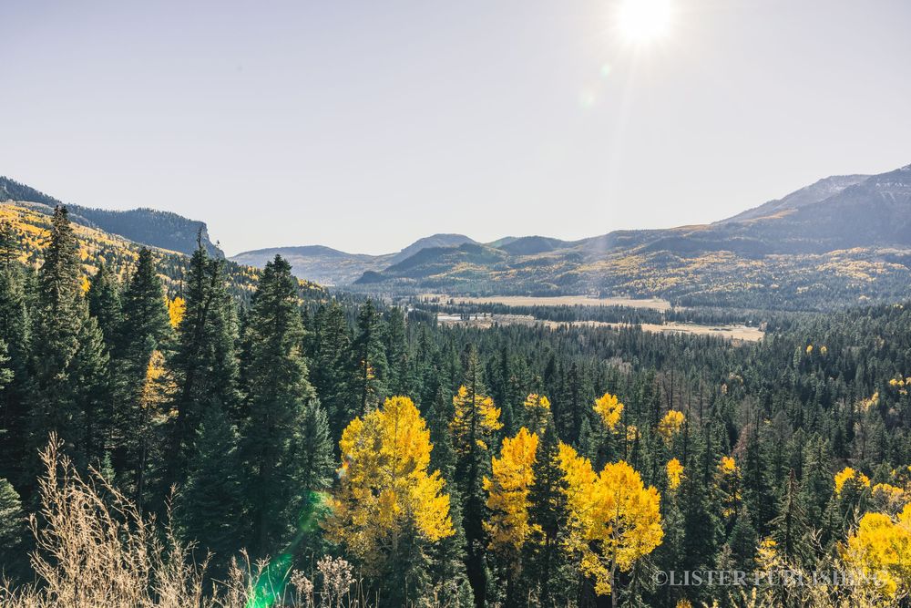 Sunlit mountain landscape with golden aspen trees and evergreen forest in autumn.
