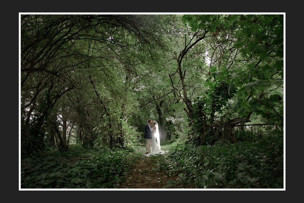 A figure in a white dress stands in a mystical forest path surrounded by lush green foliage and overhanging trees.