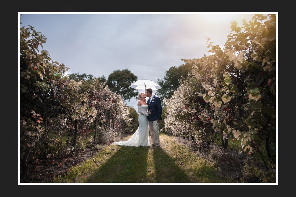 Bride and groom kissing under umbrella in lush vineyard aisle on their wedding day.