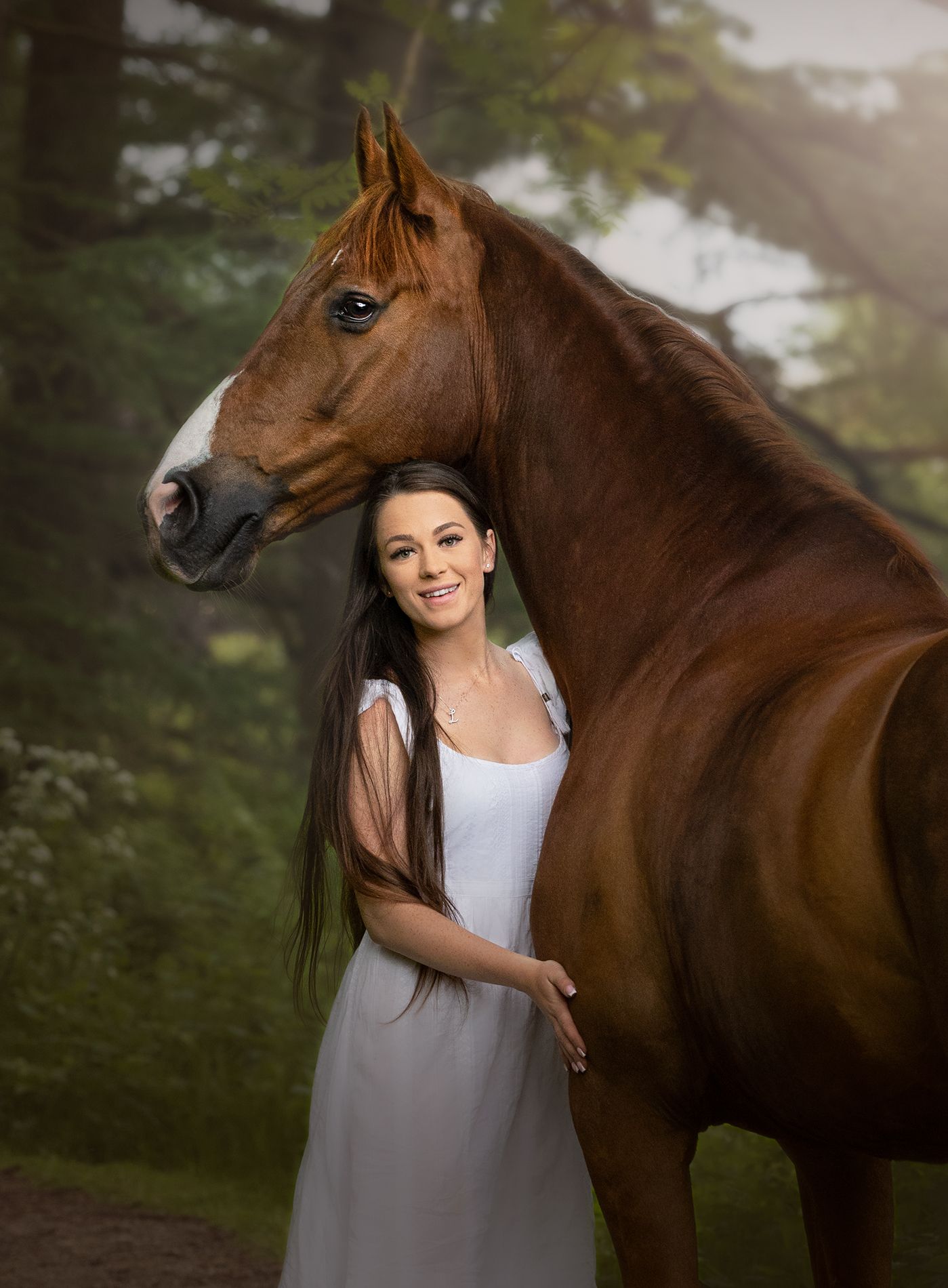 Equine photography in macclesfield forest