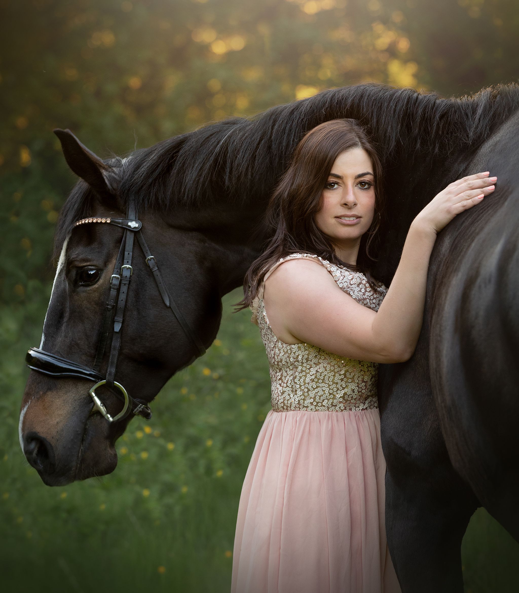 Equine photography in Marple
