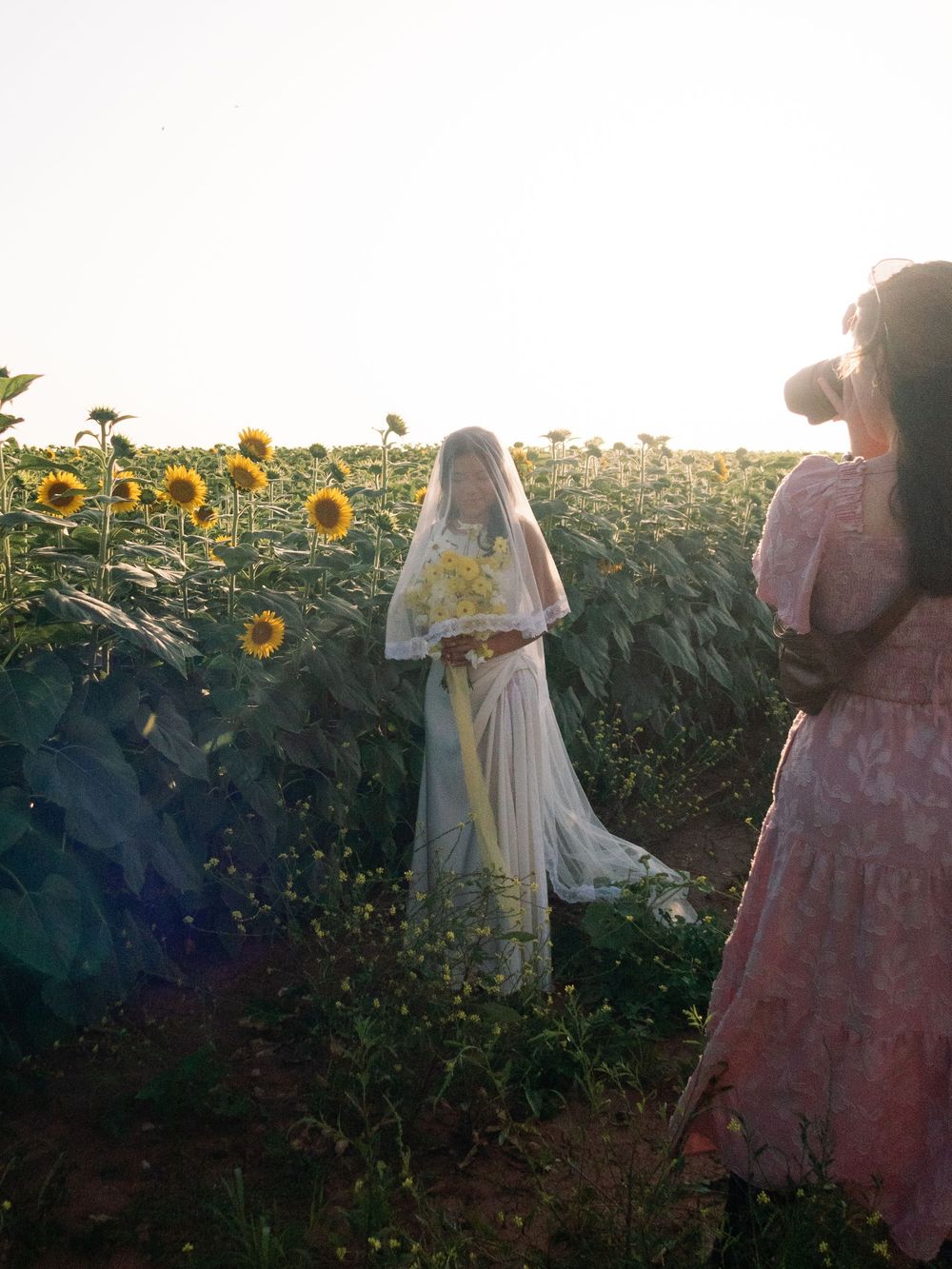 A bright sunflower field at sunset with two figures in flowing dresses taking photographs among the blooms.