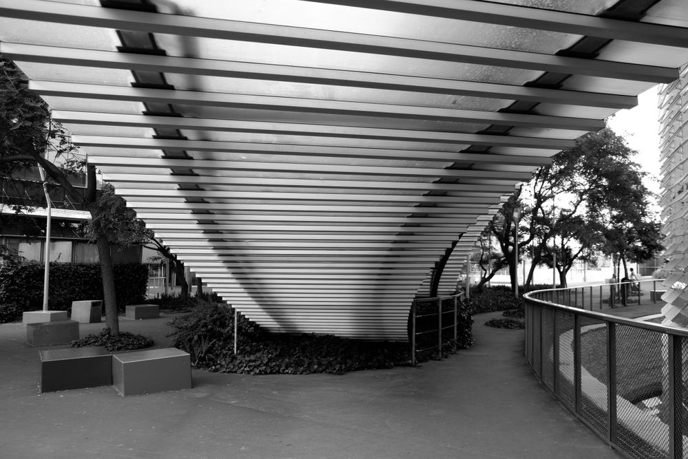 Black and white photo of a modern pergola structure with slatted roof, surrounded by trees and planters in an urban setting.
