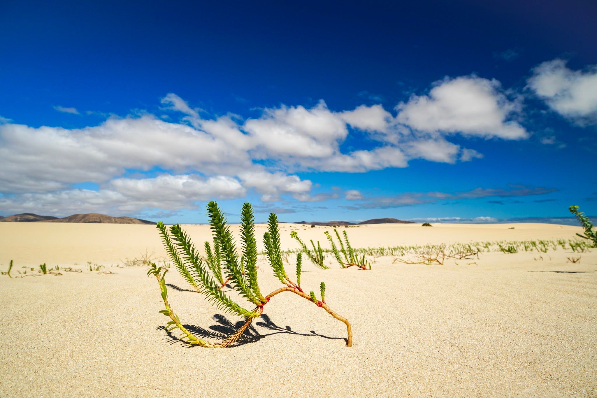 Landschapsfotografie Fuerteventura.