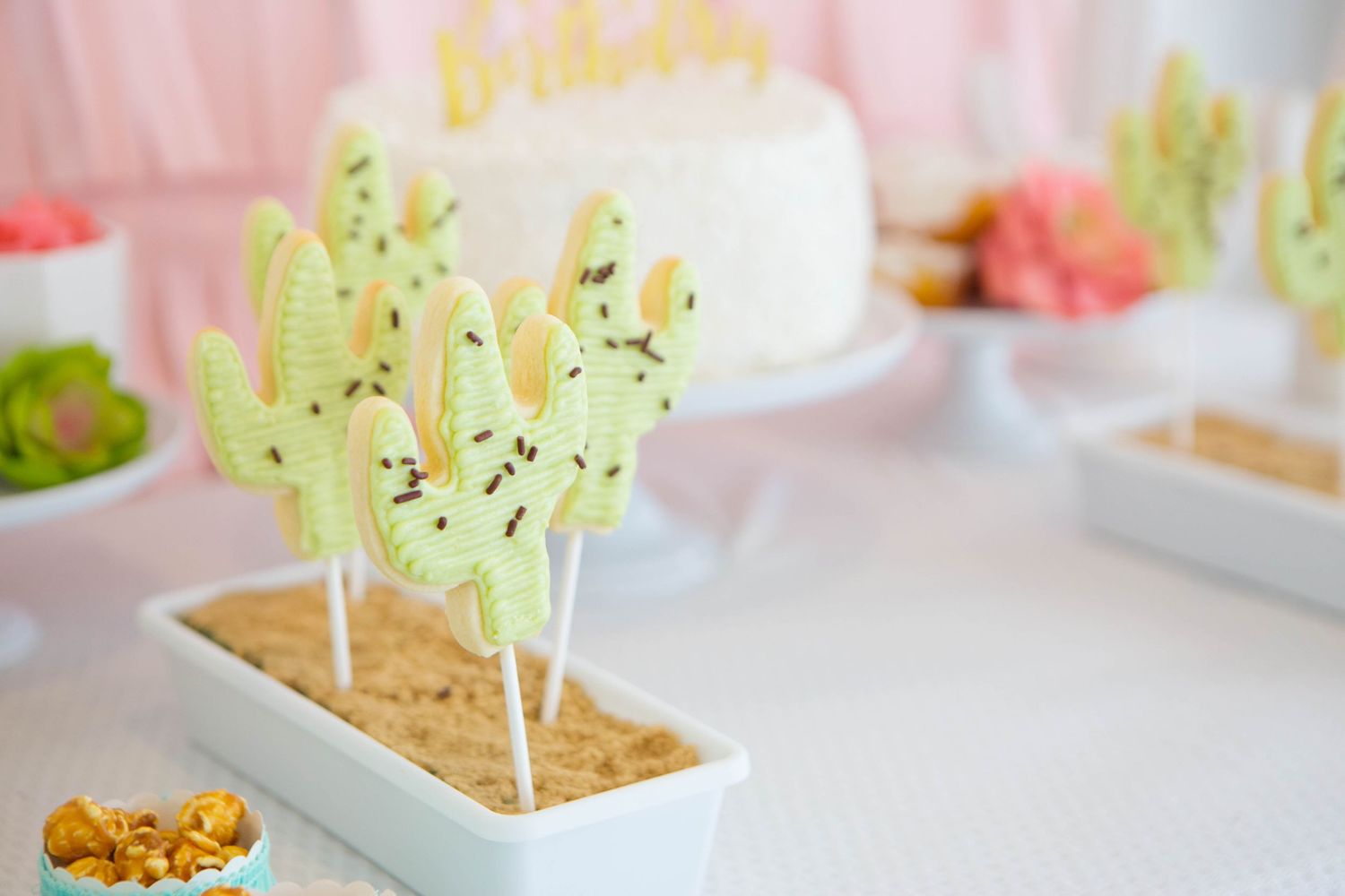 Surrey BC Vancouver Event Photographer cactus shaped cookies