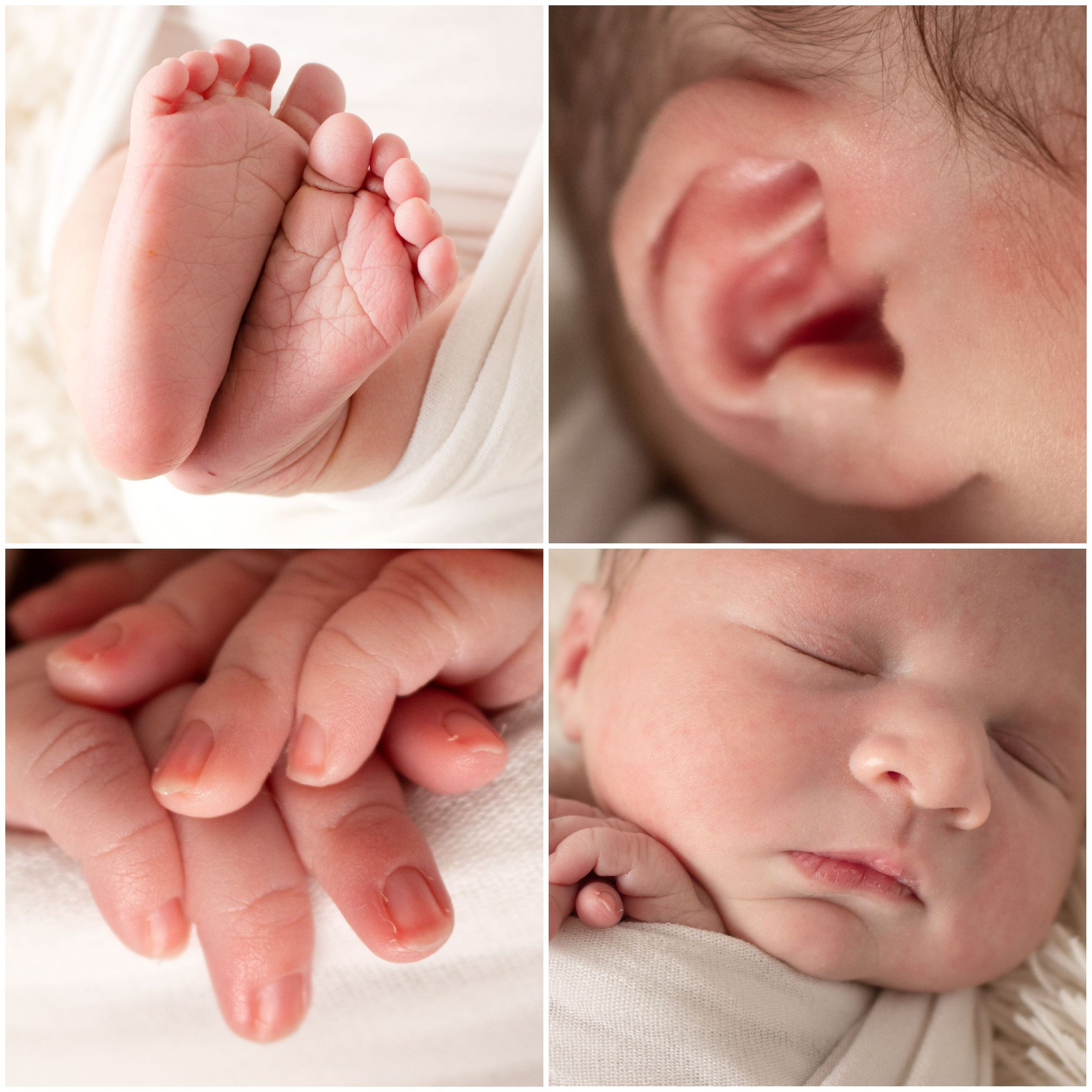 detail shots at gold or silver newborn session