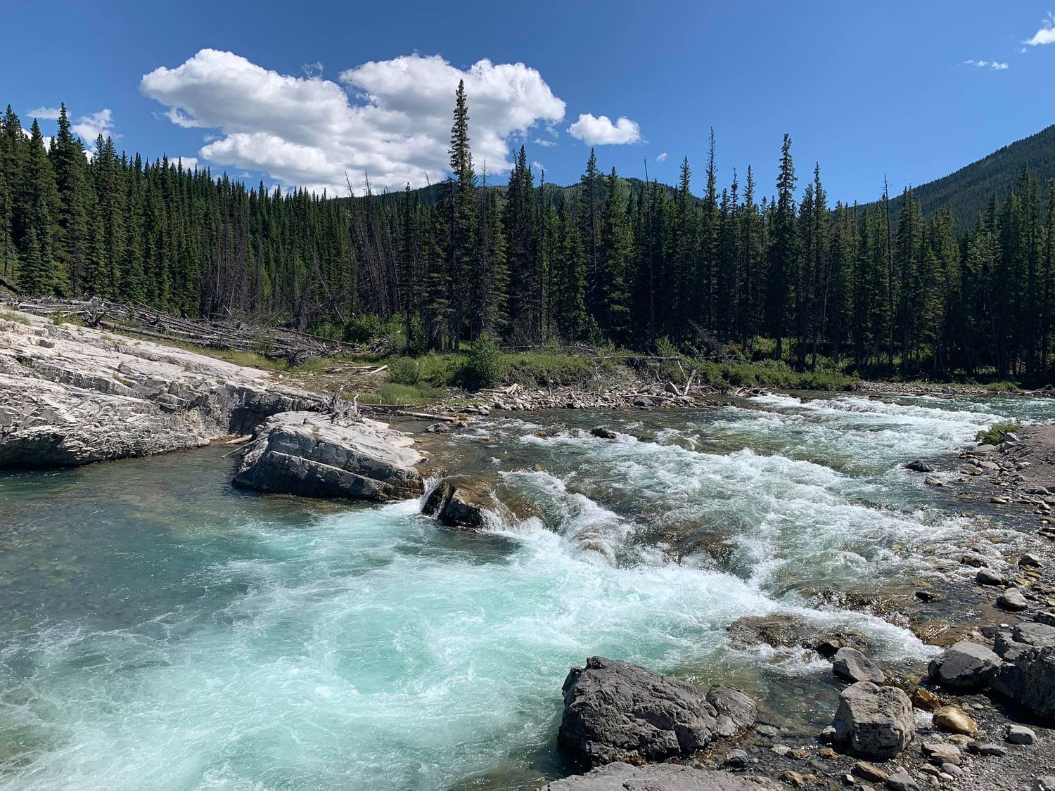 Elbow Falls, Alberta