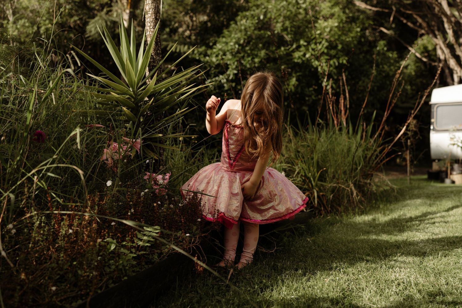 A girl in a pink dress picking flowers.  Natural at home family photographer Auckland