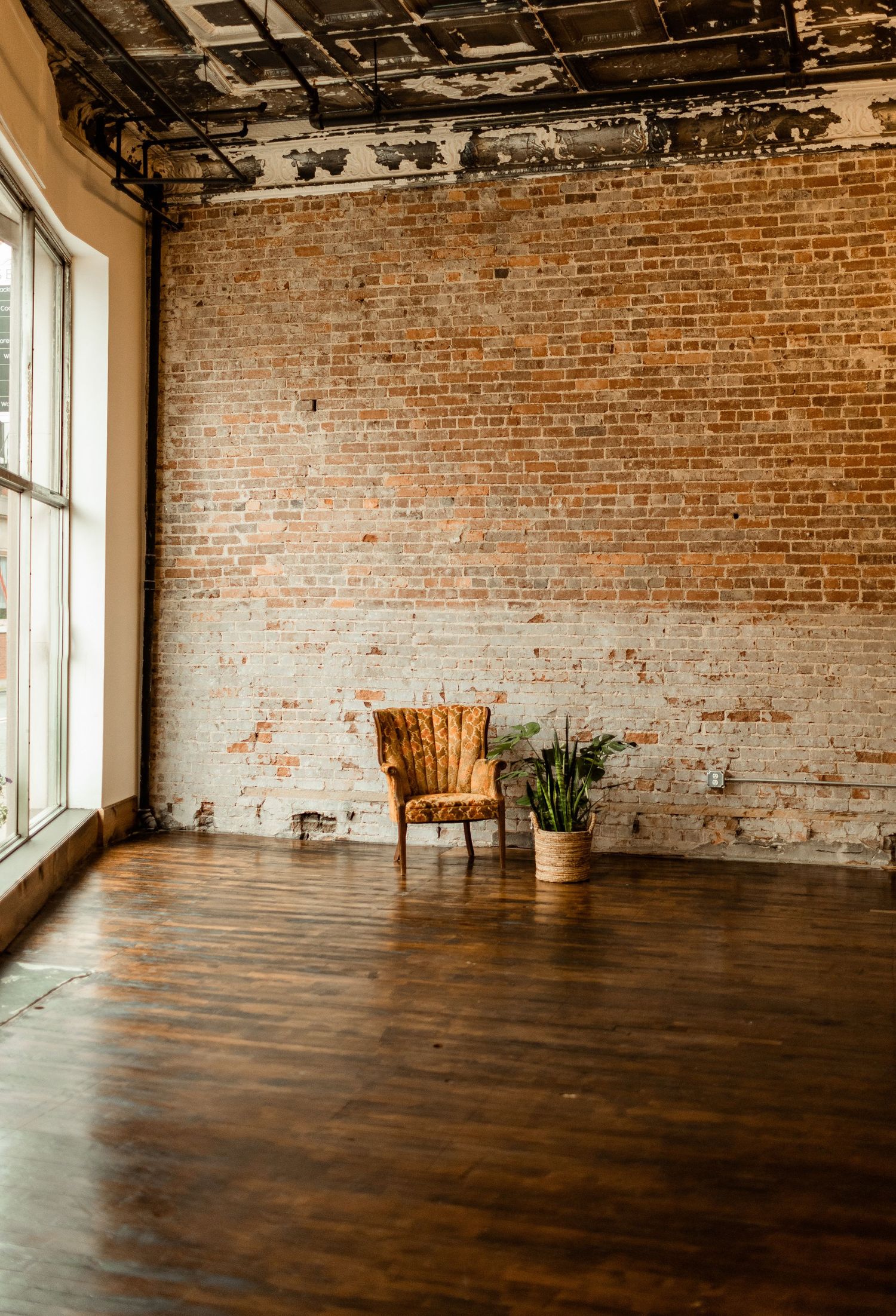 Vintage leather armchair and potted plant in empty room with exposed brick walls and hardwood floors.