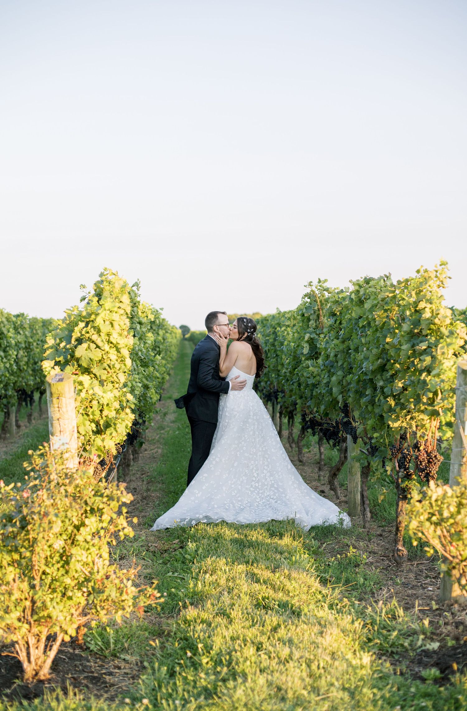Romantic sunset portrait of wedding couple embracing in a lush vineyard setting.