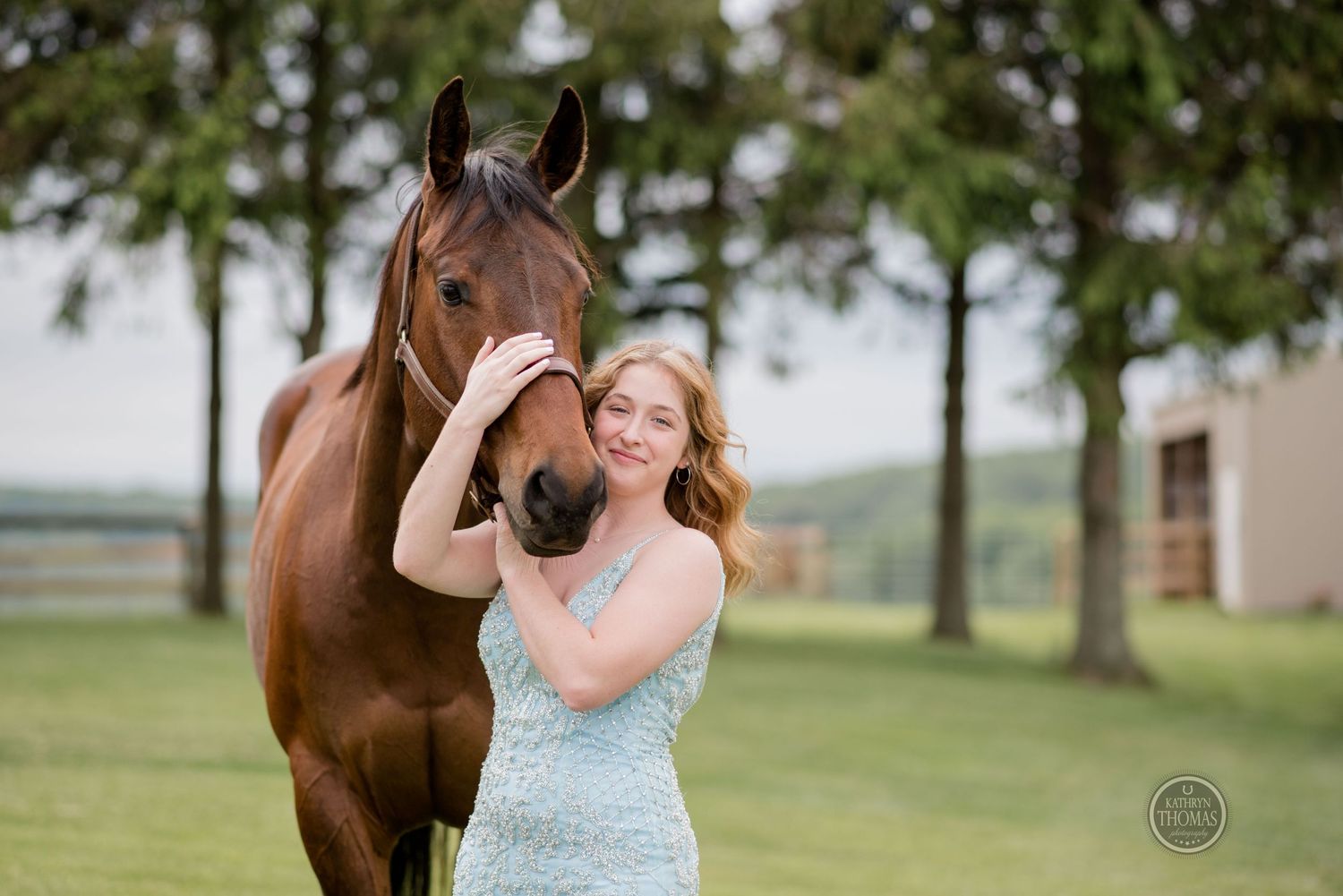 A brown horse nuzzles affectionately with someone wearing a pale blue formal dress in an outdoor setting.