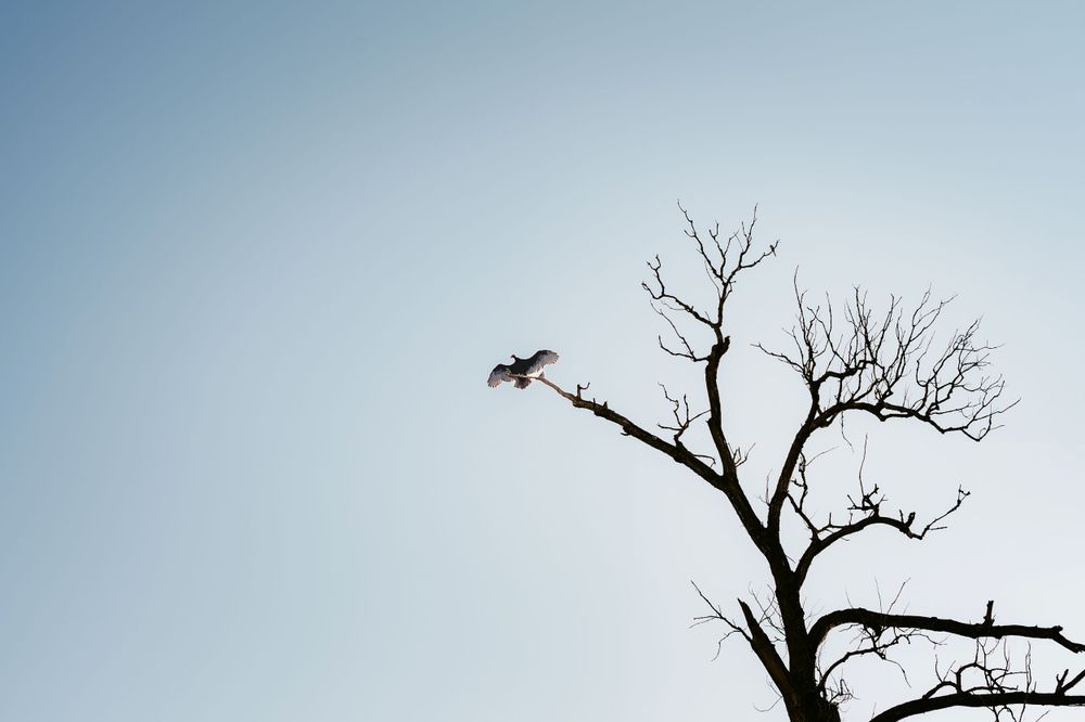 Katy Montoya Photography - Kenedy, Texas Photographer - San Antonio, Texas Photographer