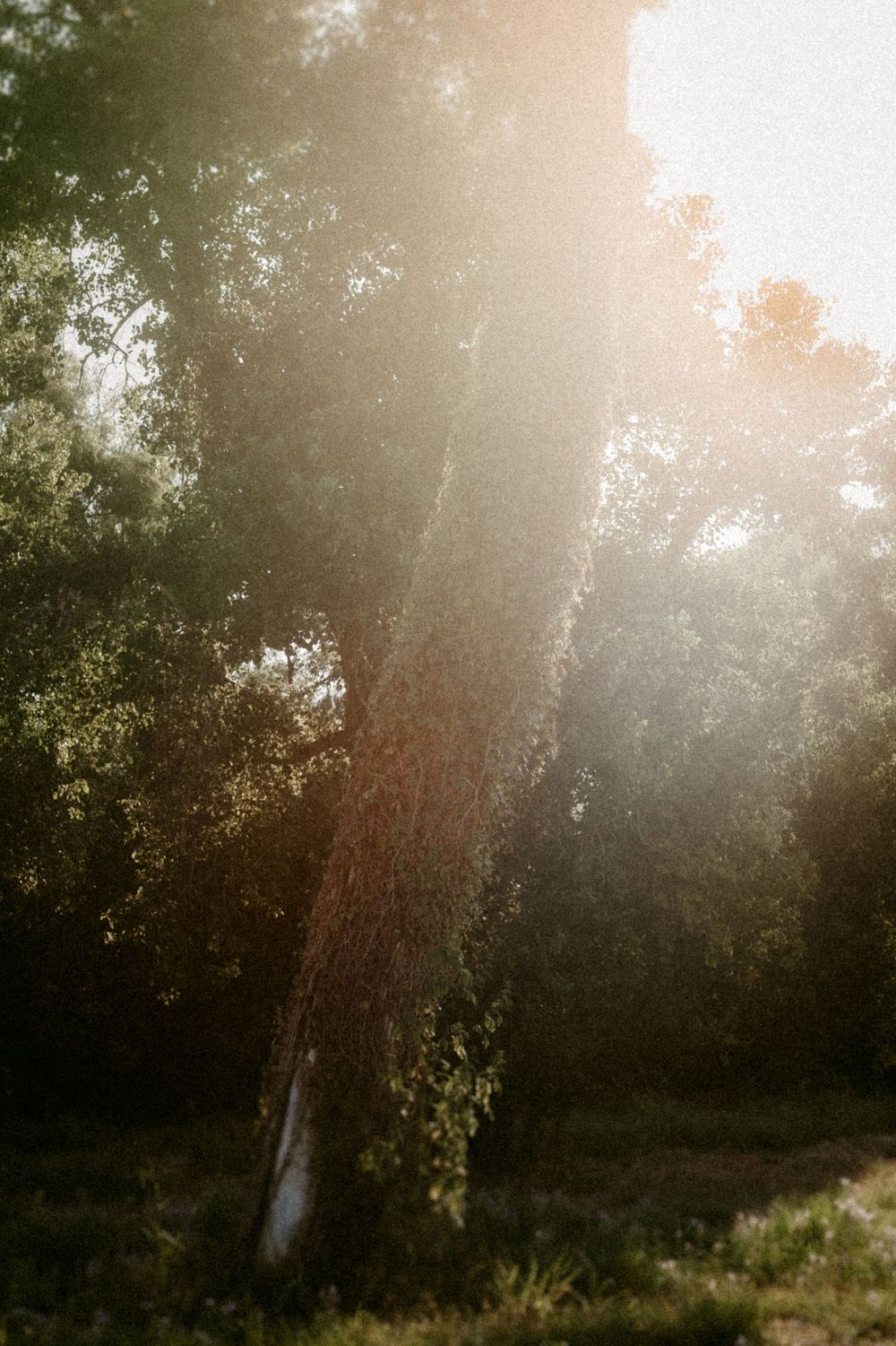 Katy Montoya Photography - Kenedy, Texas Photographer - San Antonio, Texas Photographer