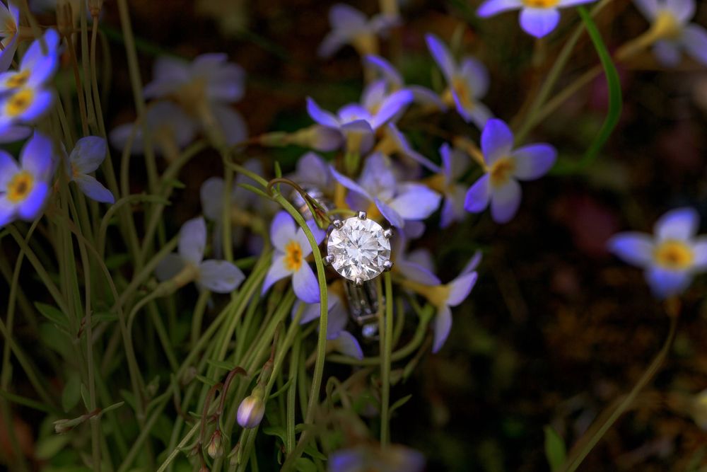 A diamond engagement ring sparkles among delicate purple wildflowers.