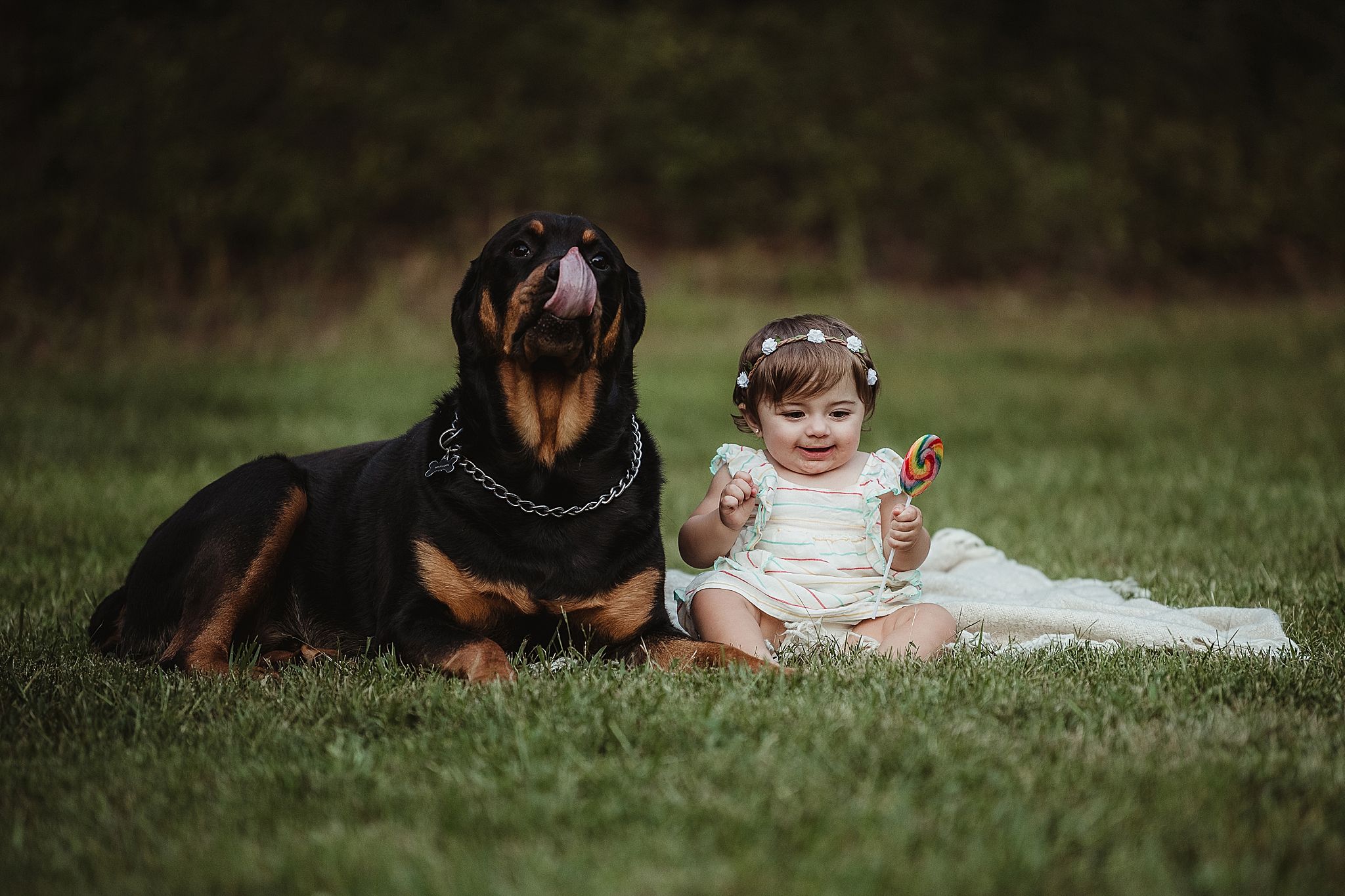 Large Rottweiler laying protectively next to small child on grass outdoors.