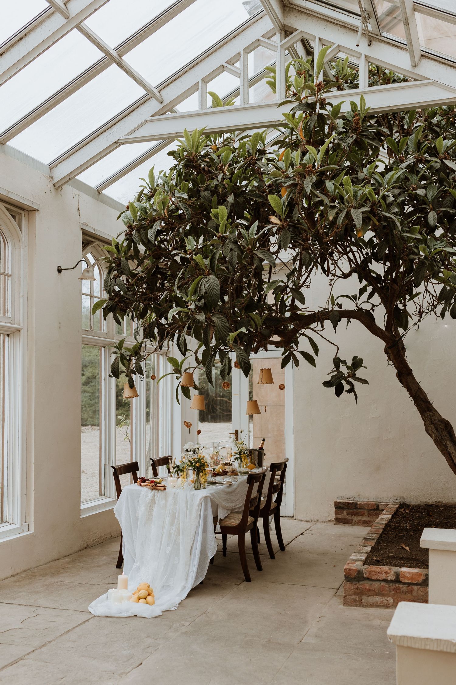 Small orangery wedding with oranges and olive decor
