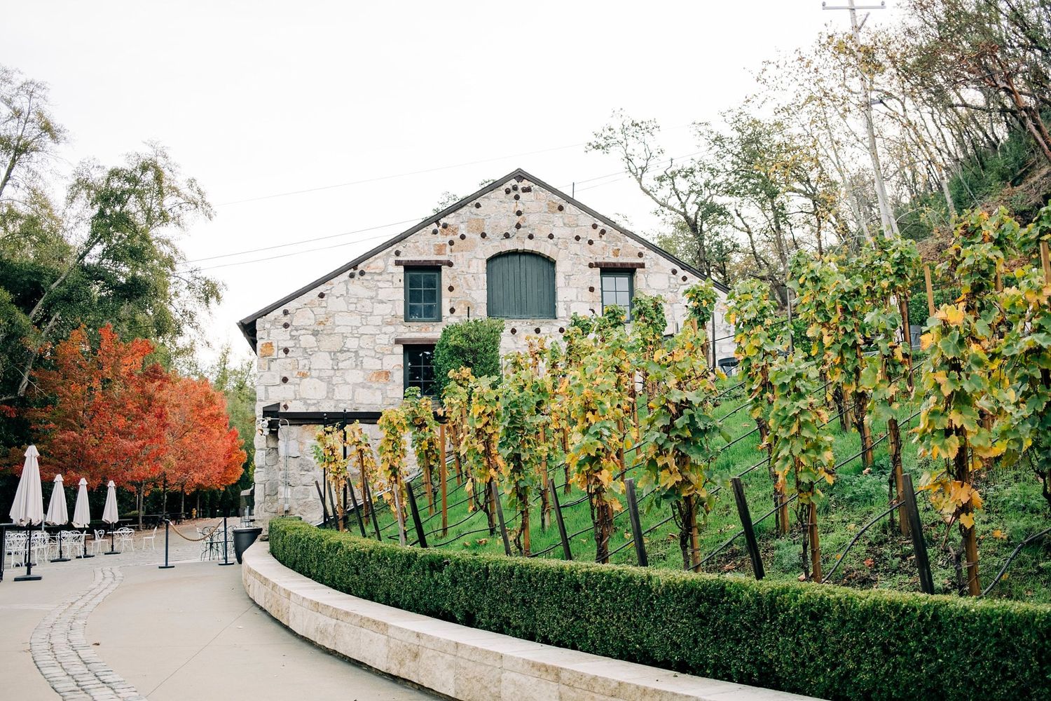Entrance to Buena Vista Winery