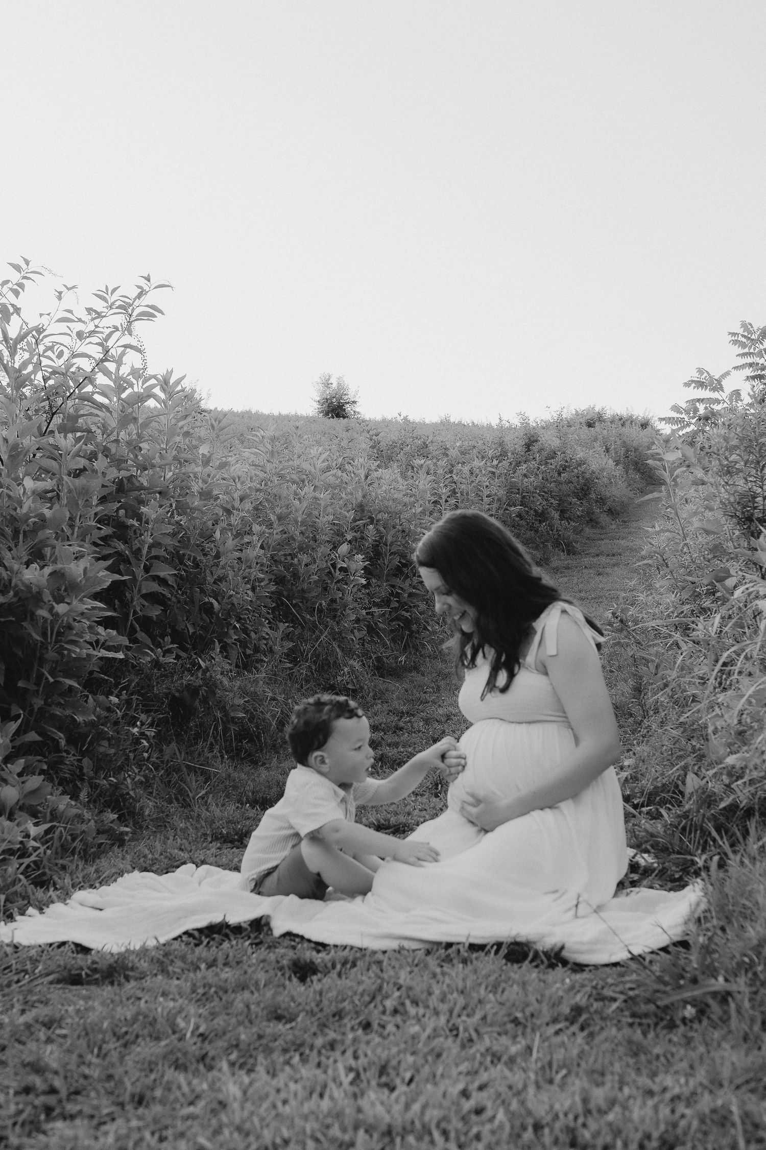 knoxville maternity photographer