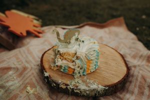 Michigan Photographer | Creative Art By Bree