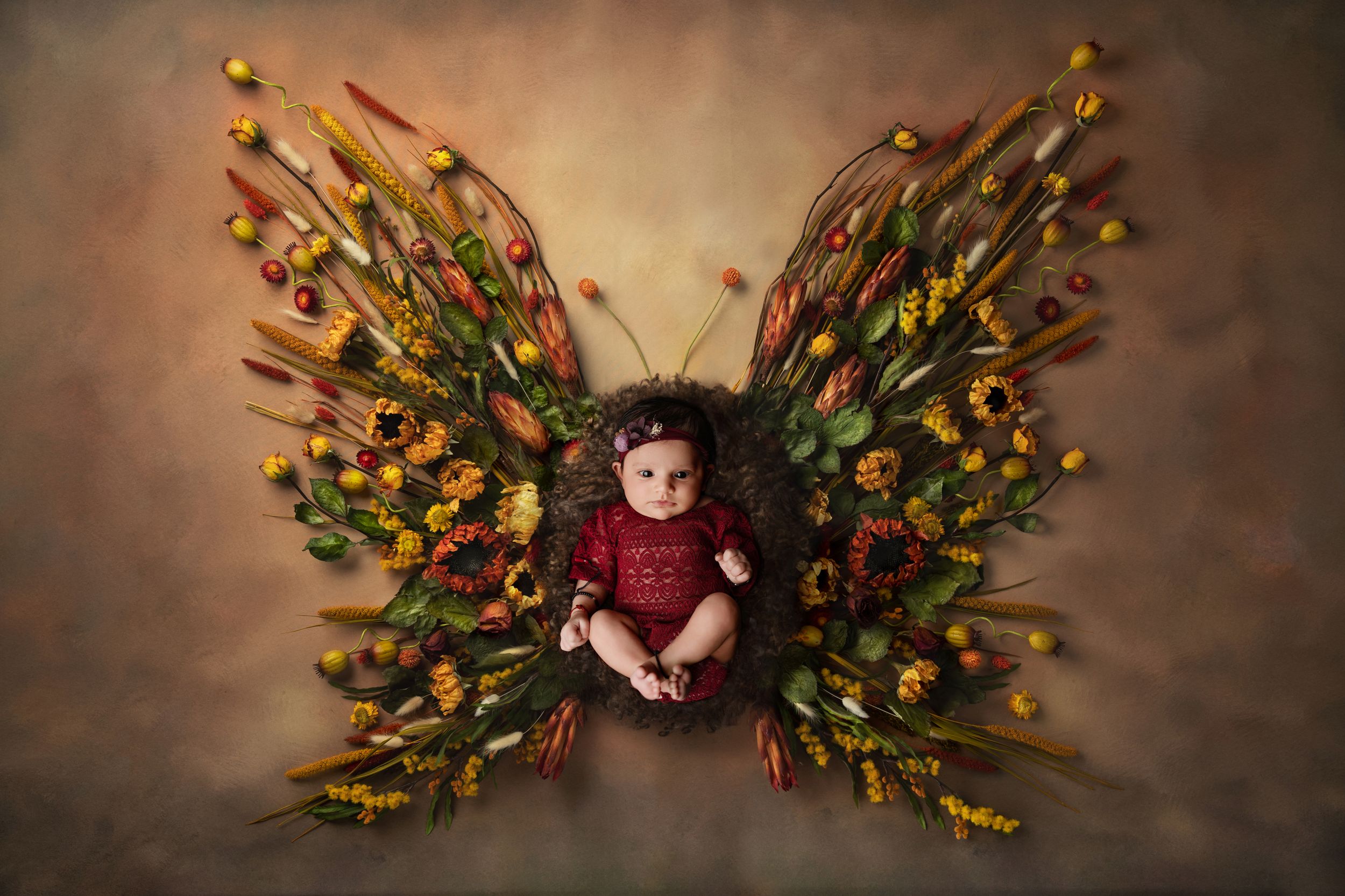 new born baby brown butterfly - Jasmeet K Photography